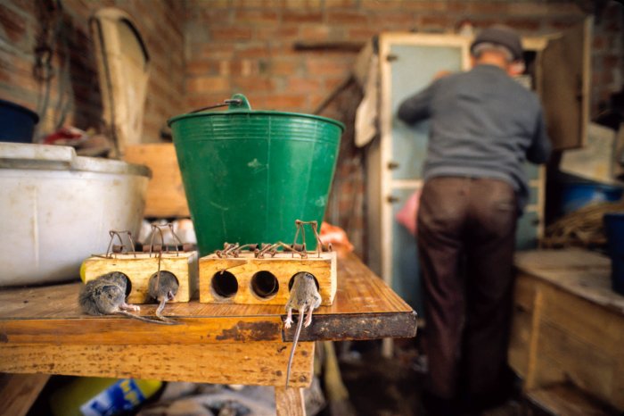 Catalan Rural People